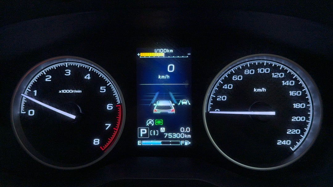 Odometer View