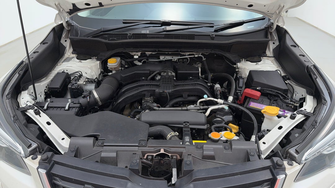 Open Bonnet (Engine)