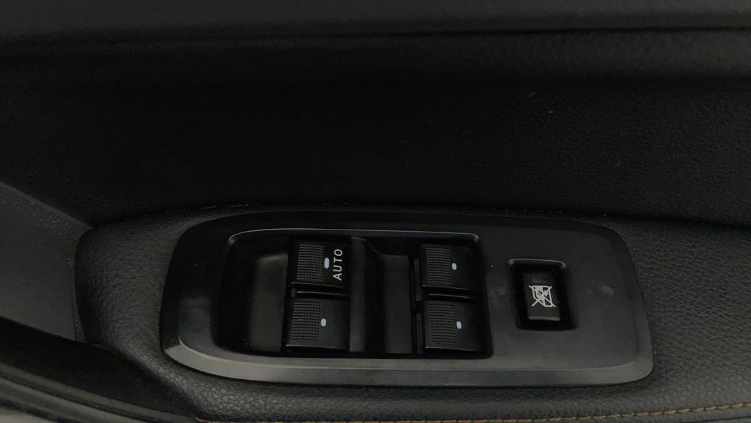 Drivers Side Door Panel Controls