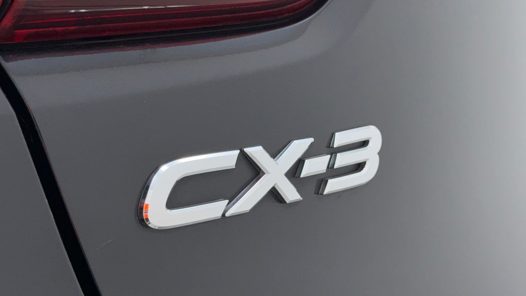 Badge (Boot Left Side)