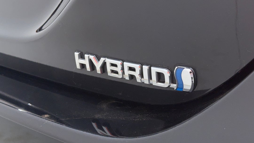 Badge (Boot Right Side)