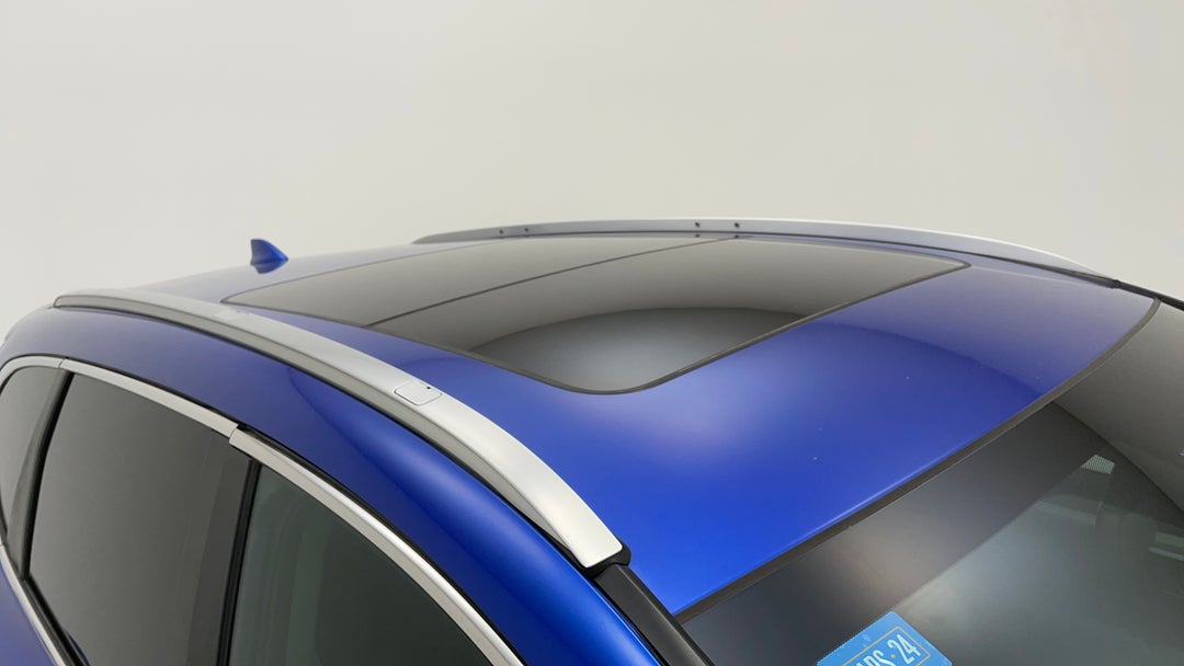 Roof/Sunroof View