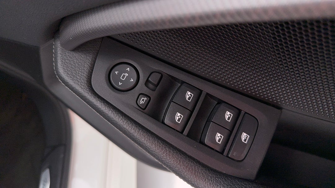 Drivers Side Door Panel Controls