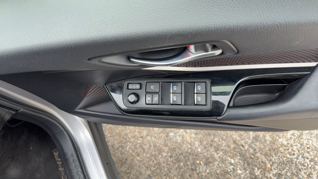 Drivers Side Door Panel Controls