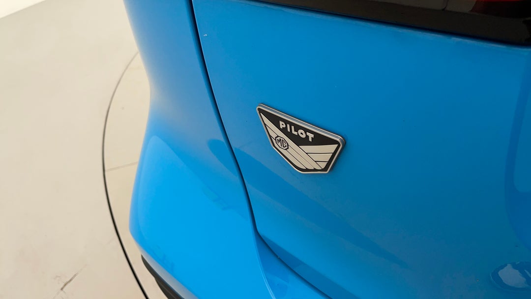 Badge (Boot Left Side)