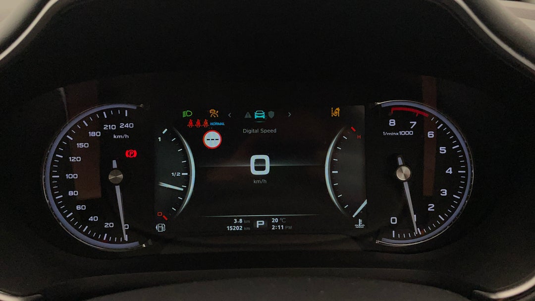 Odometer View