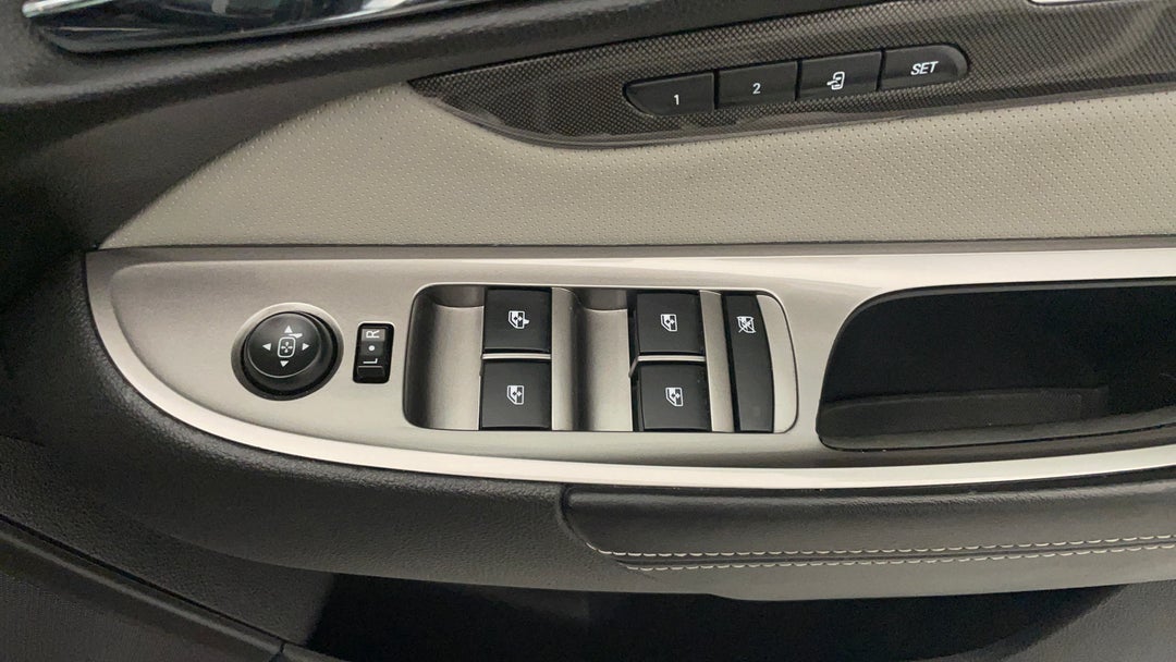 Drivers Side Door Panel Controls