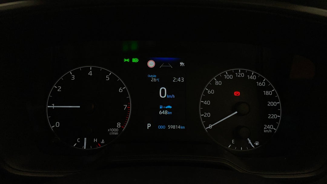 Odometer View