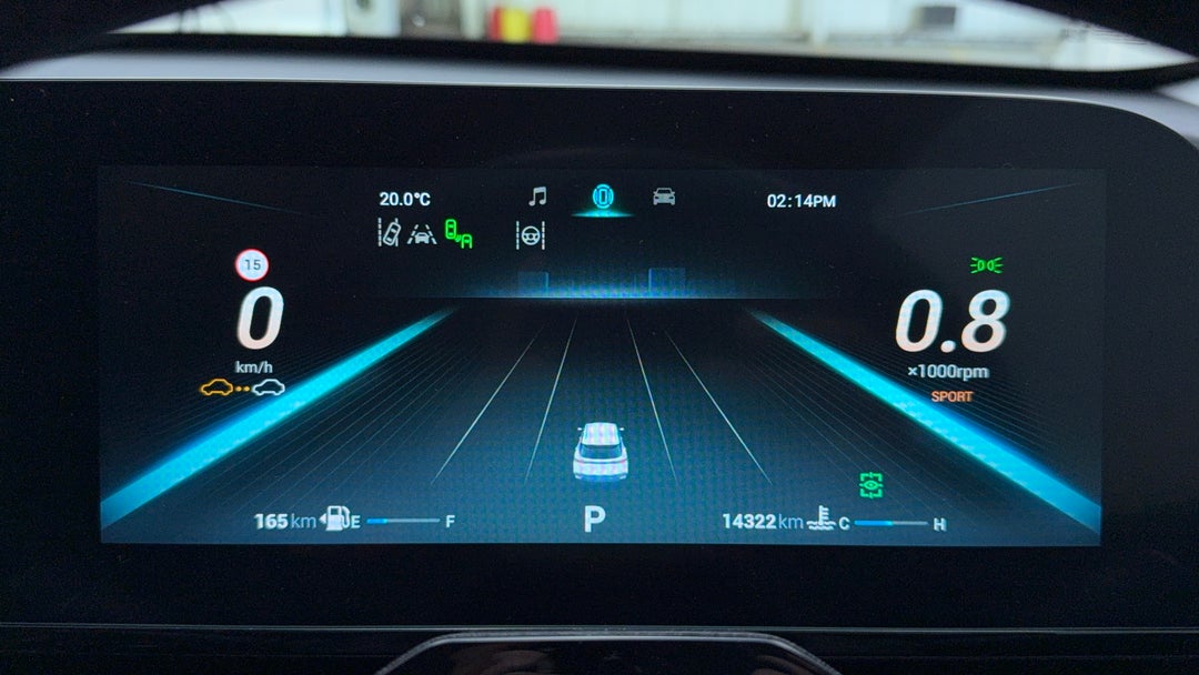 Odometer View