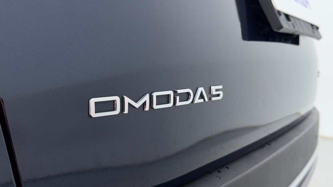 Badge (Boot Left Side)