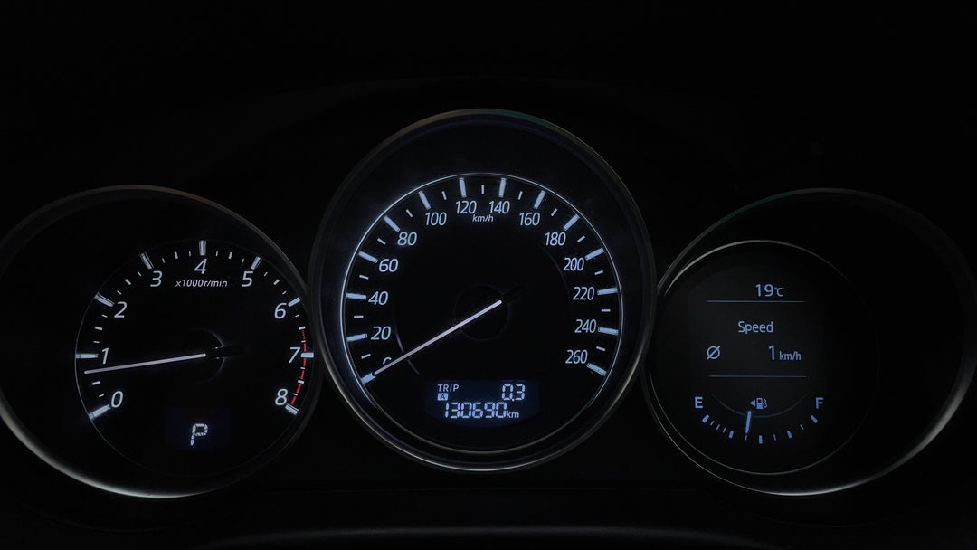 Odometer View