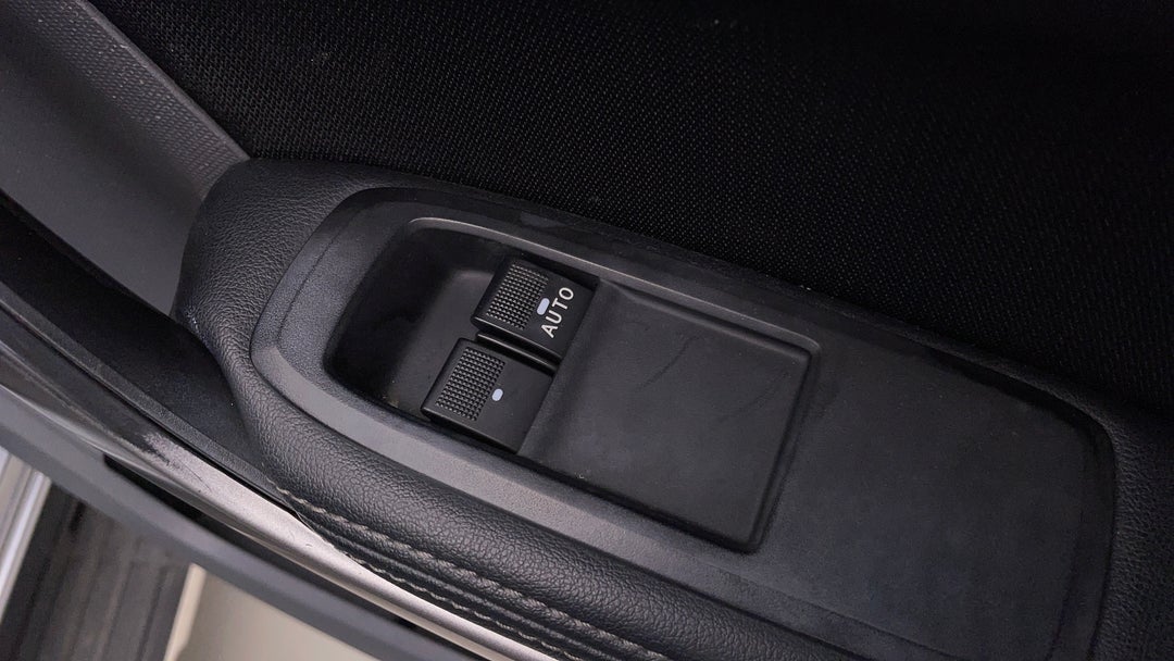 Drivers Side Door Panel Controls