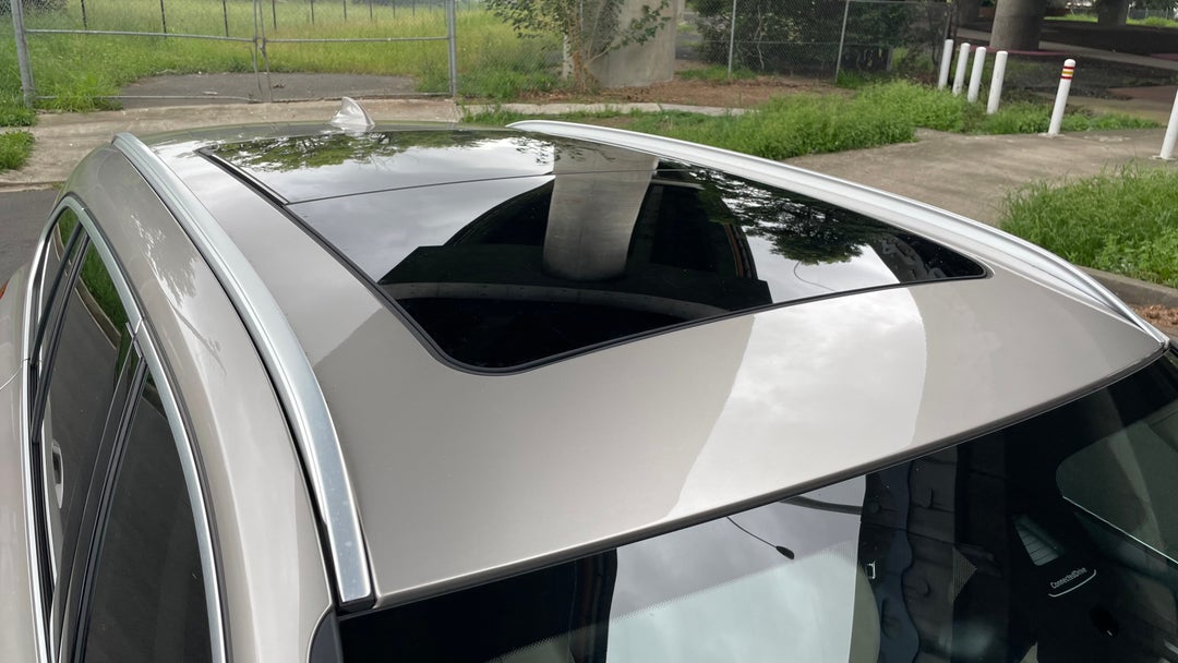 Roof/Sunroof View
