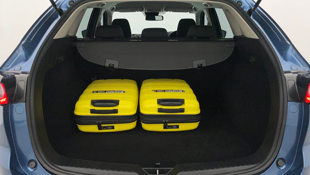 Boot Inside View with Luggage