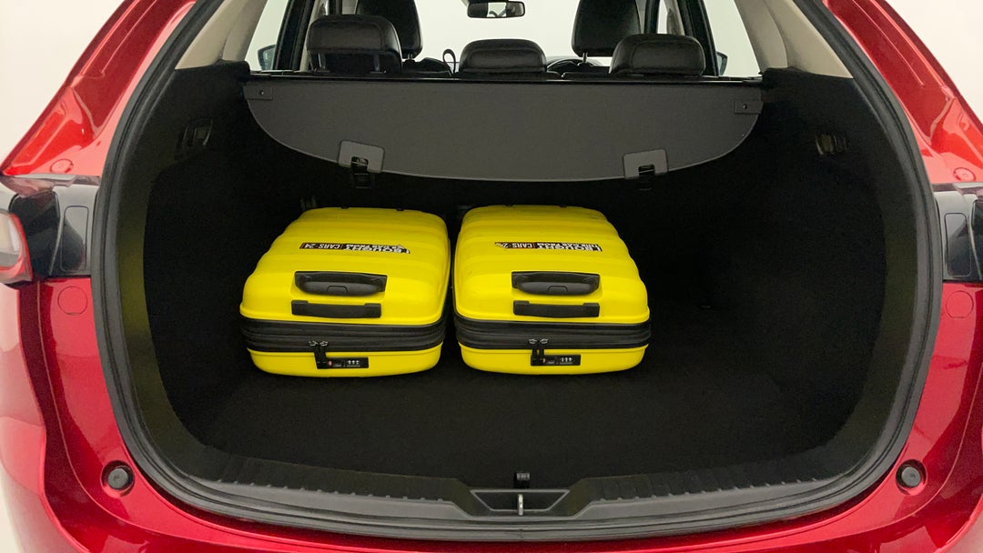 Boot Inside View with Luggage