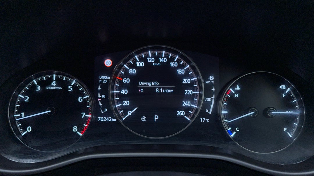 Odometer View