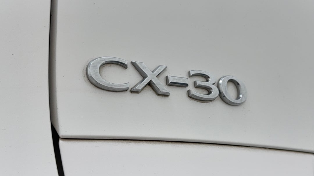 Badge (Boot Left Side)