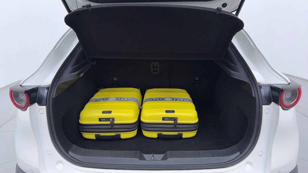 Boot Inside View with Luggage