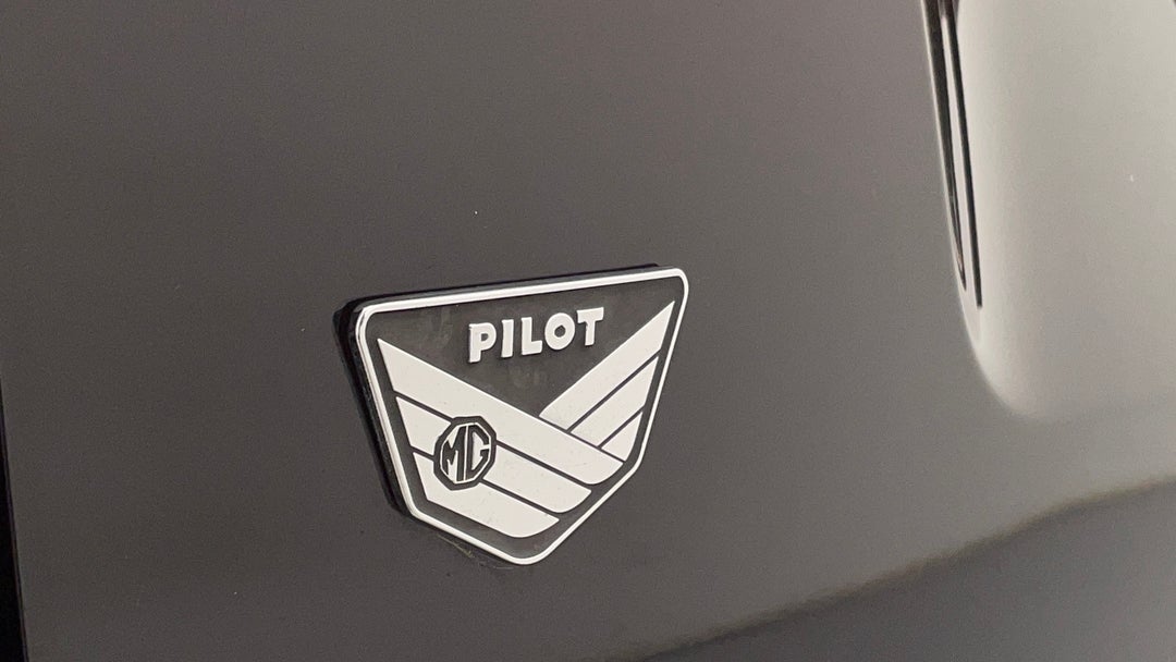 Badge (Boot Left Side)