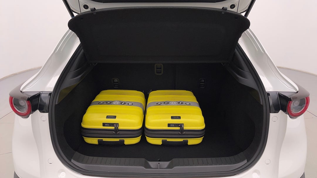 Boot Inside View with Luggage