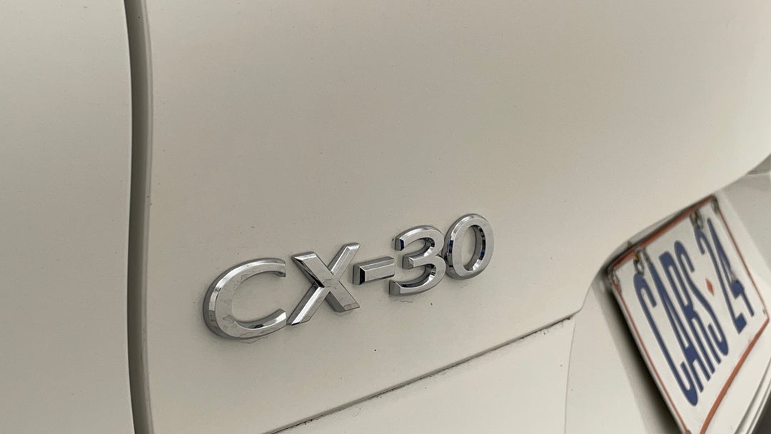 Badge (Boot Left Side)