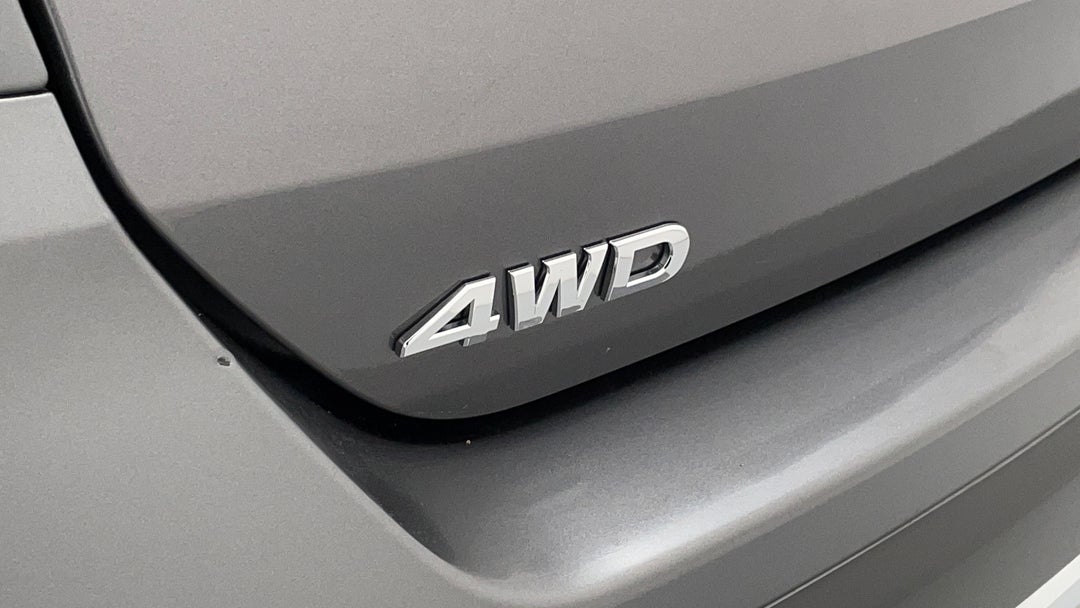 Badge (Boot Left Side)