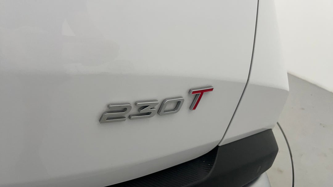 Badge (Boot Right Side)