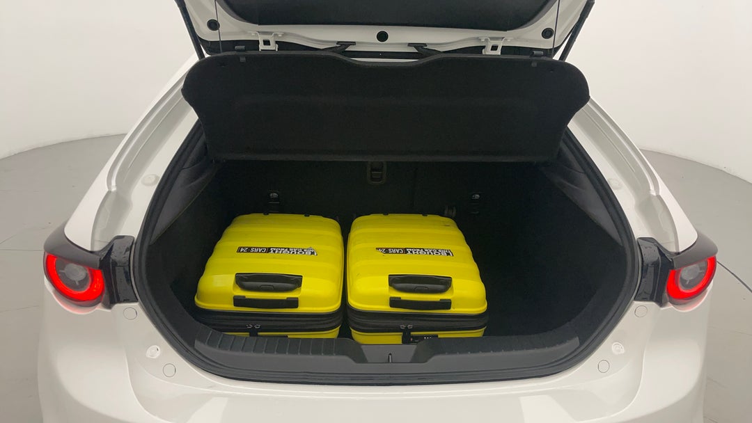 Boot Inside View with Luggage