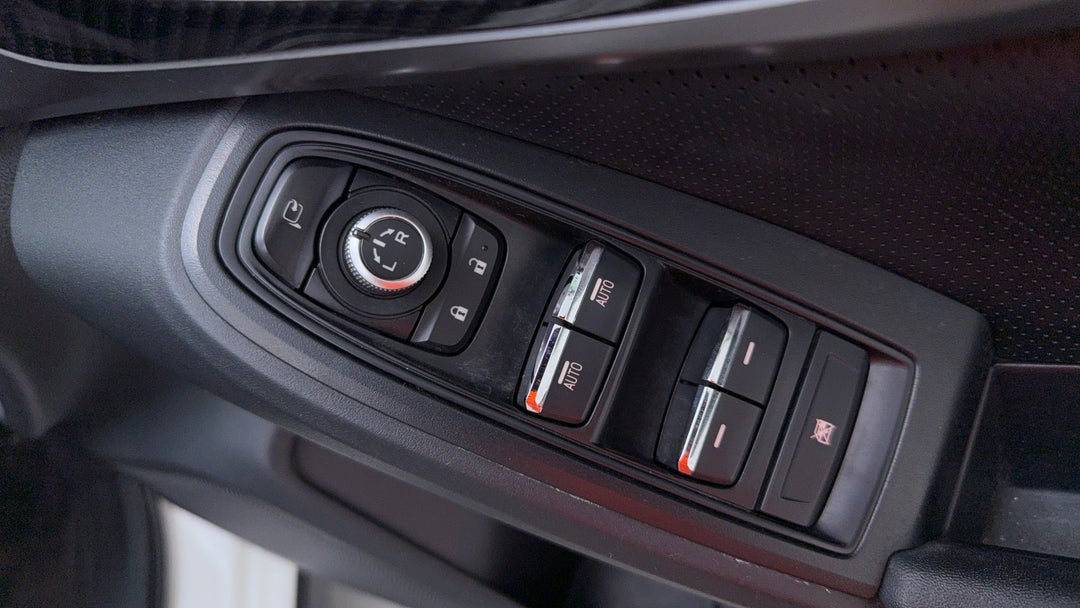 Drivers Side Door Panel Controls