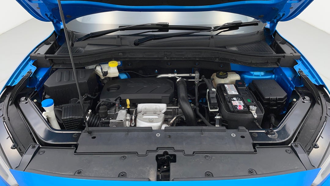 Open Bonnet (Engine)