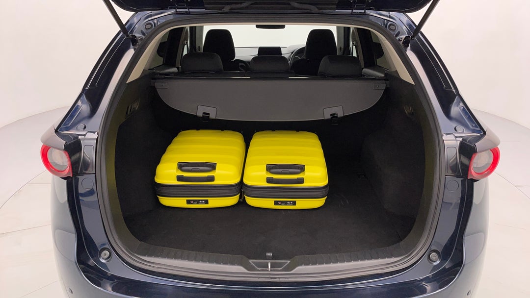 Boot Inside View with Luggage
