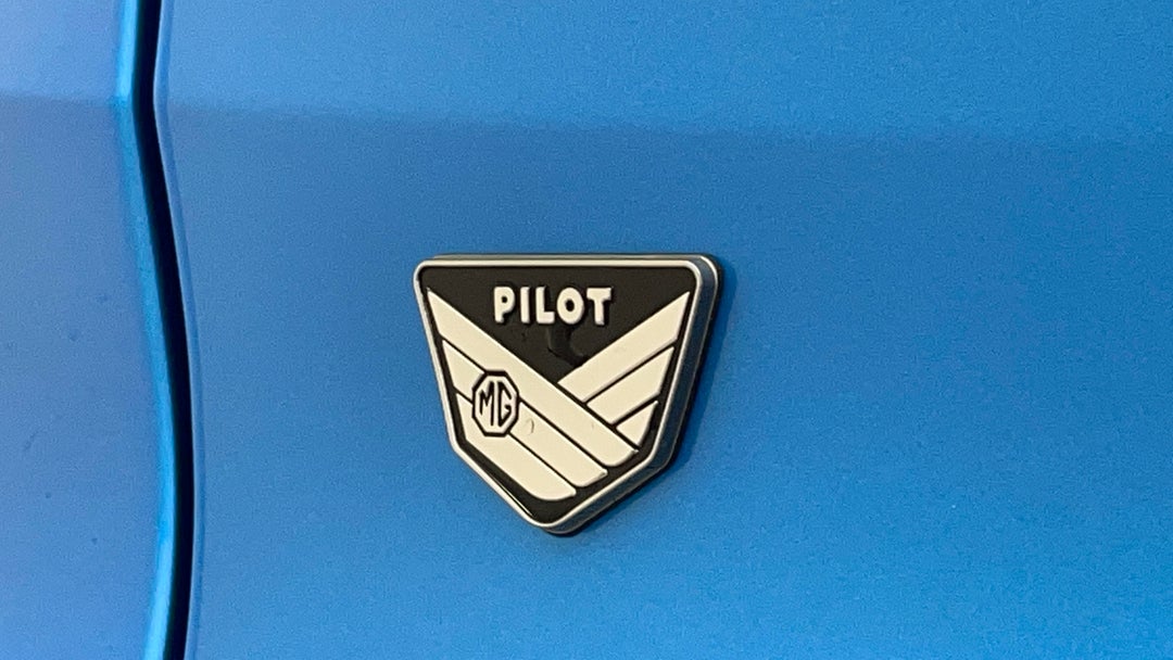 Badge (Boot Left Side)