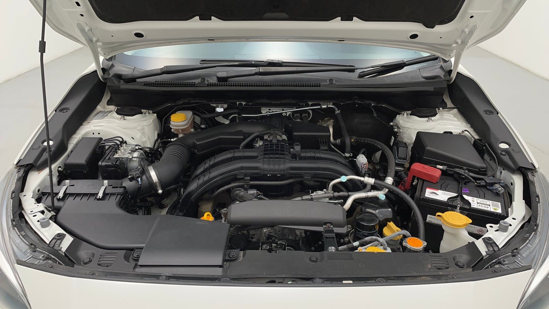 Open Bonnet (Engine)