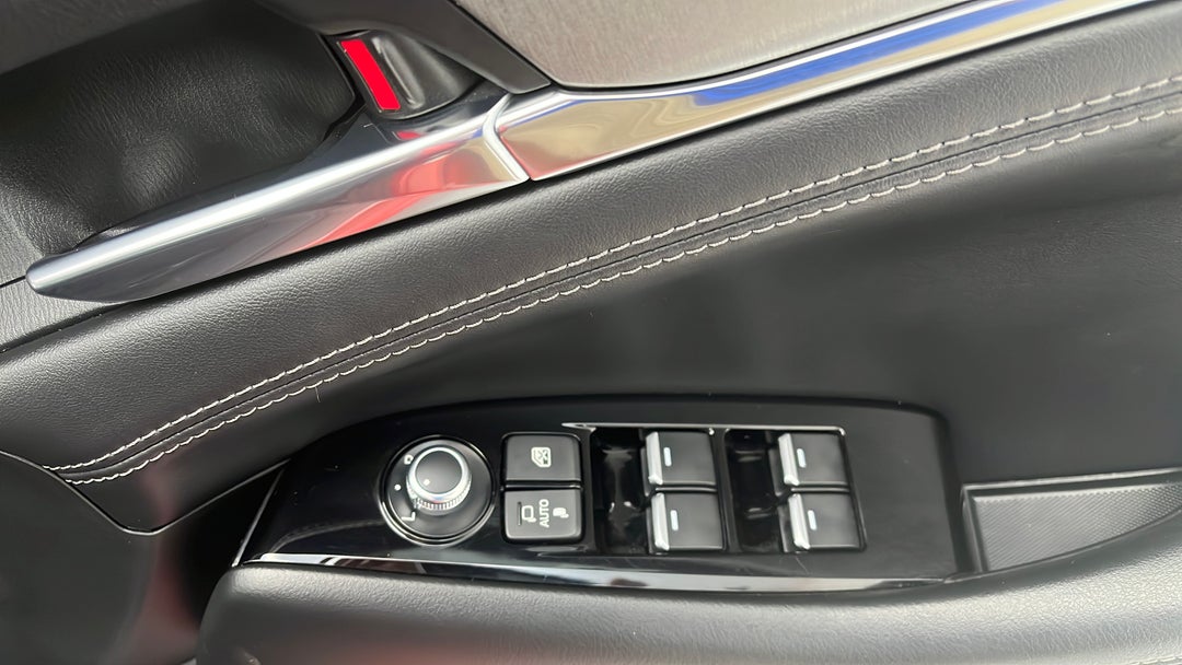 Drivers Side Door Panel Controls