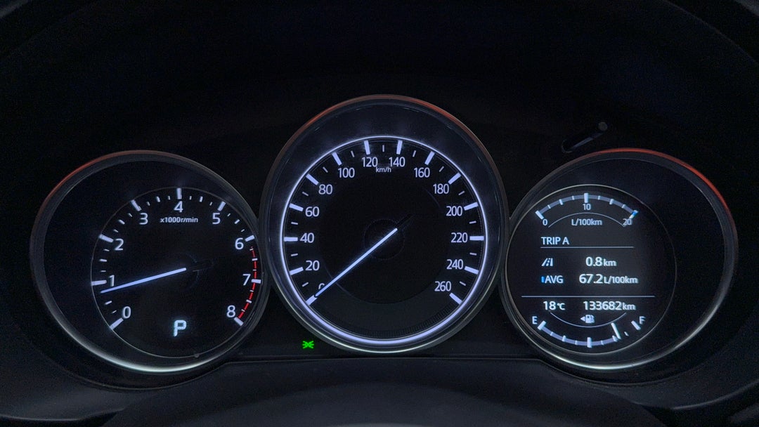 Odometer View
