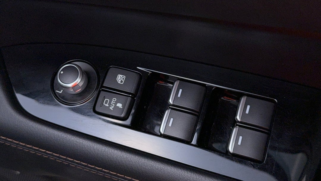 Drivers Side Door Panel Controls