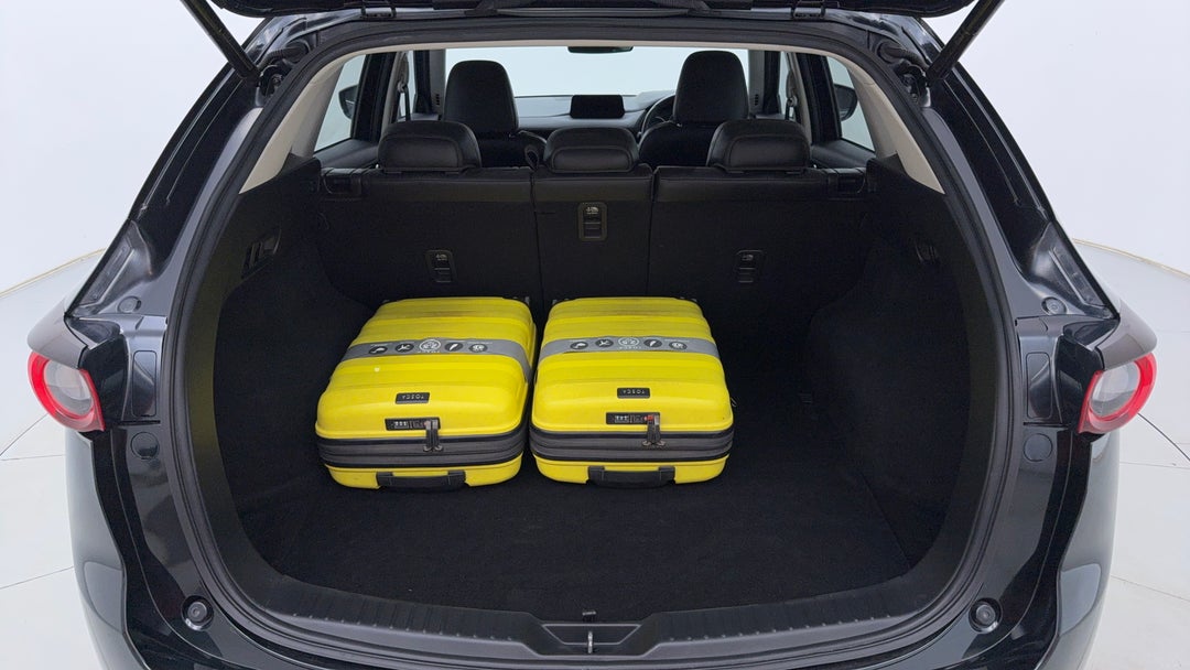 Boot Inside View with Luggage