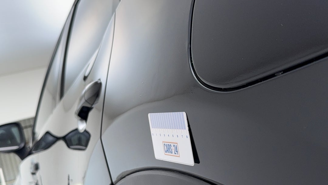 Quarter Panel Rear LHS Paint blemish