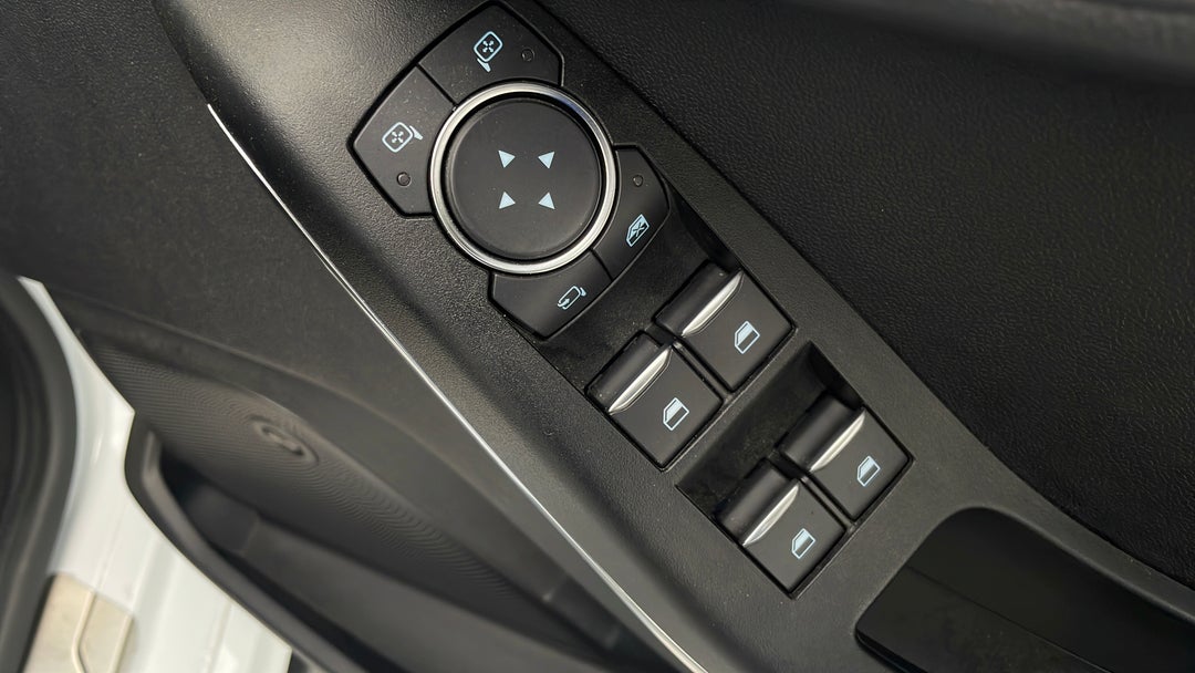 Drivers Side Door Panel Controls