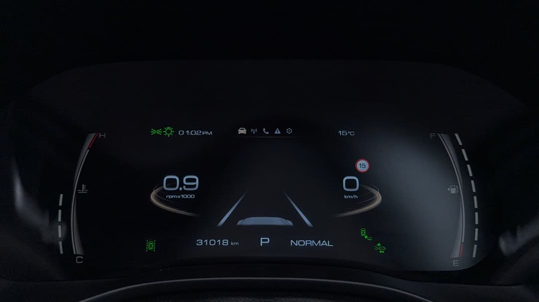 Odometer View