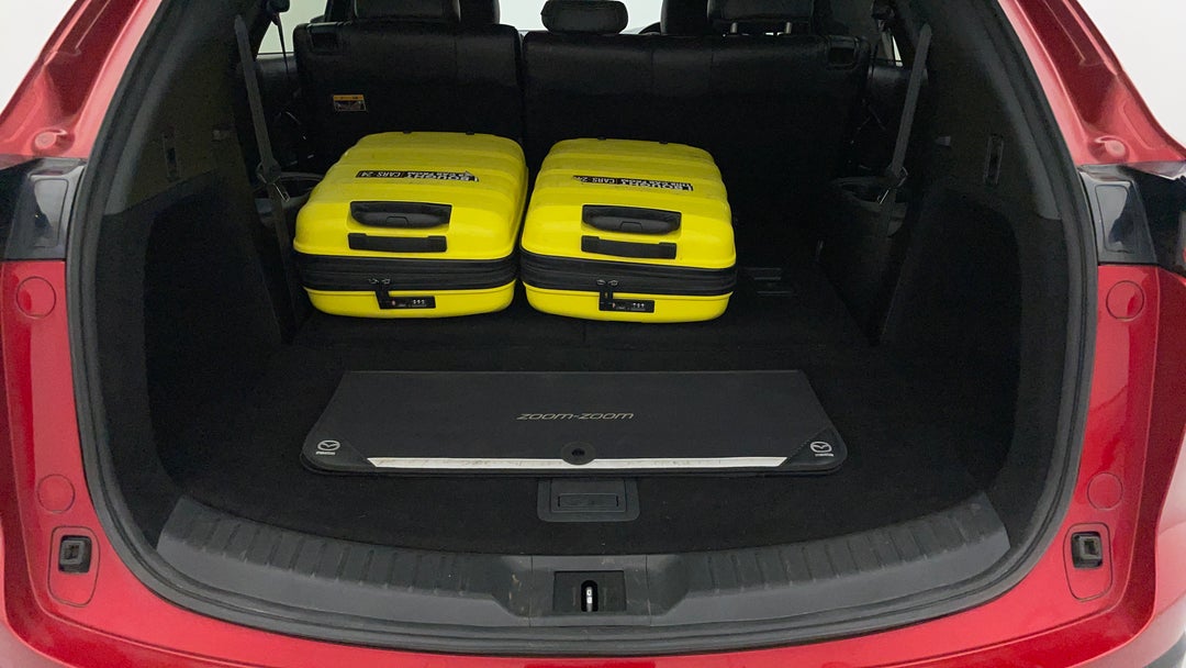 Boot Inside View with Luggage