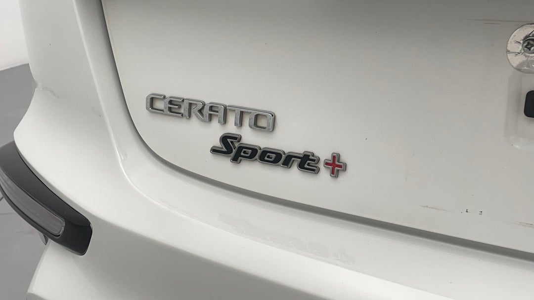 Badge (Boot Left Side)