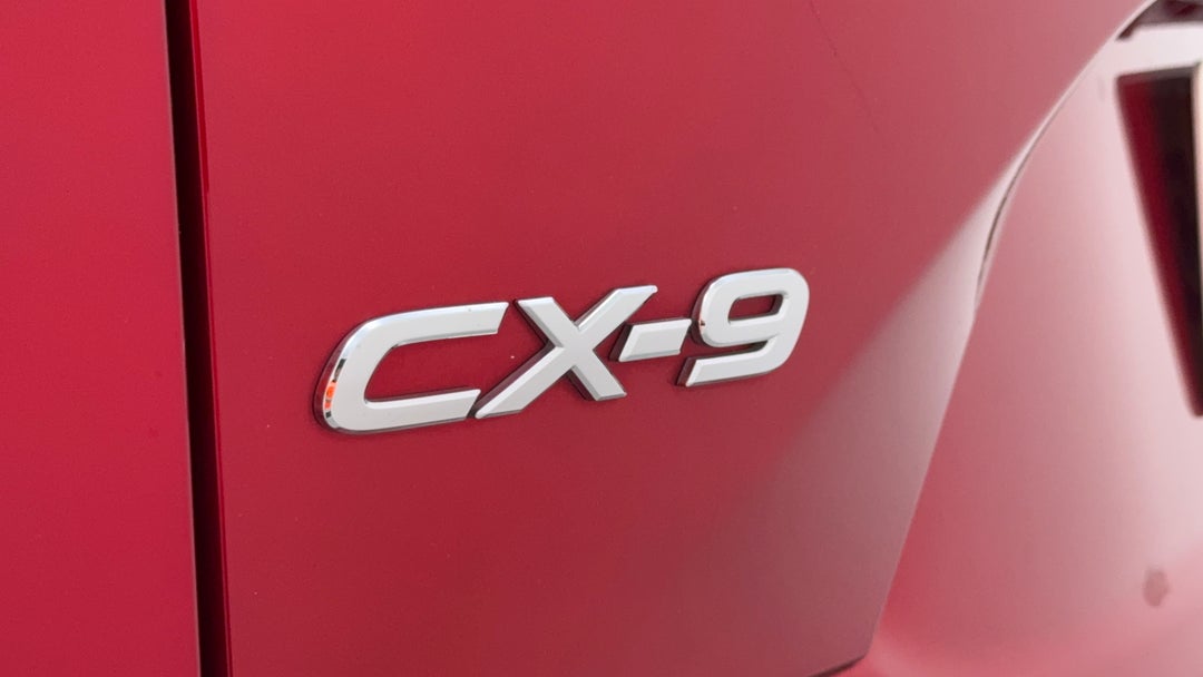 Badge (Boot Left Side)