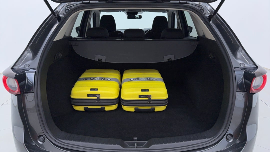 Boot Inside View with Luggage