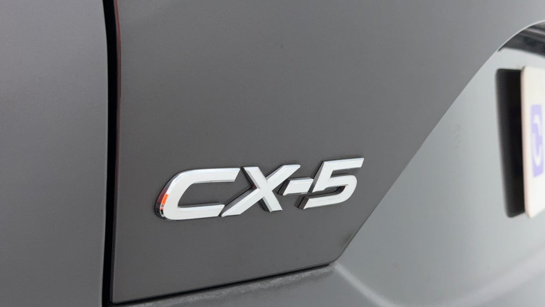 Badge (Boot Left Side)