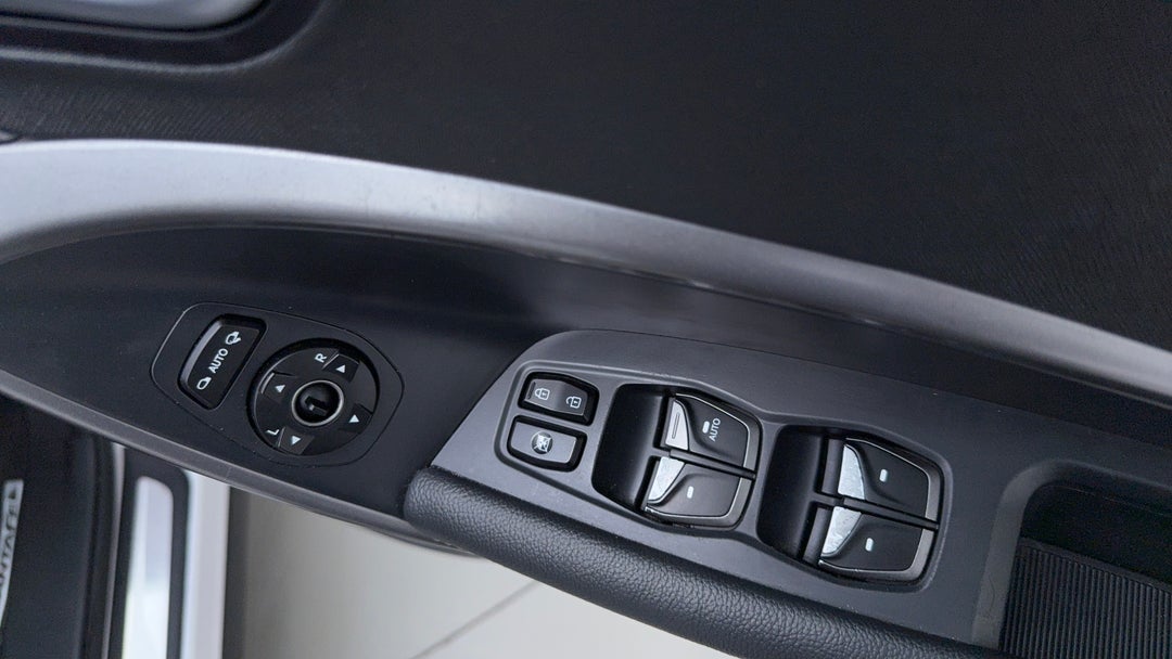 Drivers Side Door Panel Controls