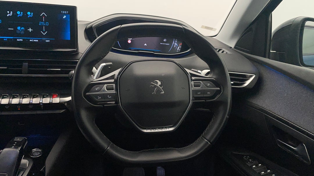 Steering Wheel Close-up