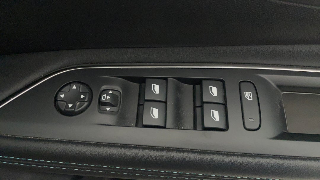 Drivers Side Door Panel Controls