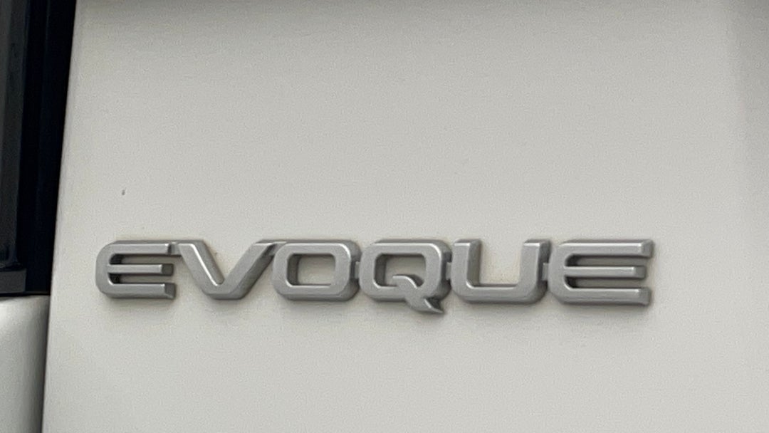 Badge (Boot Left Side)