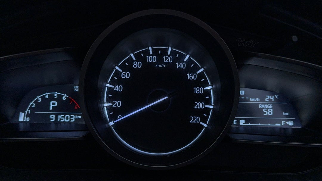 Odometer View